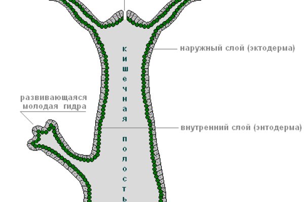 Угнали аккаунт кракен