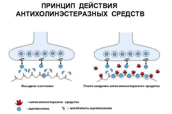 Не пришли деньги на кракен